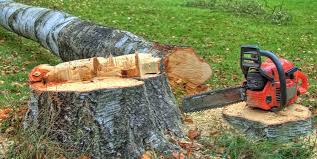 Best Commercial Tree Services  in North Hobbs, NM